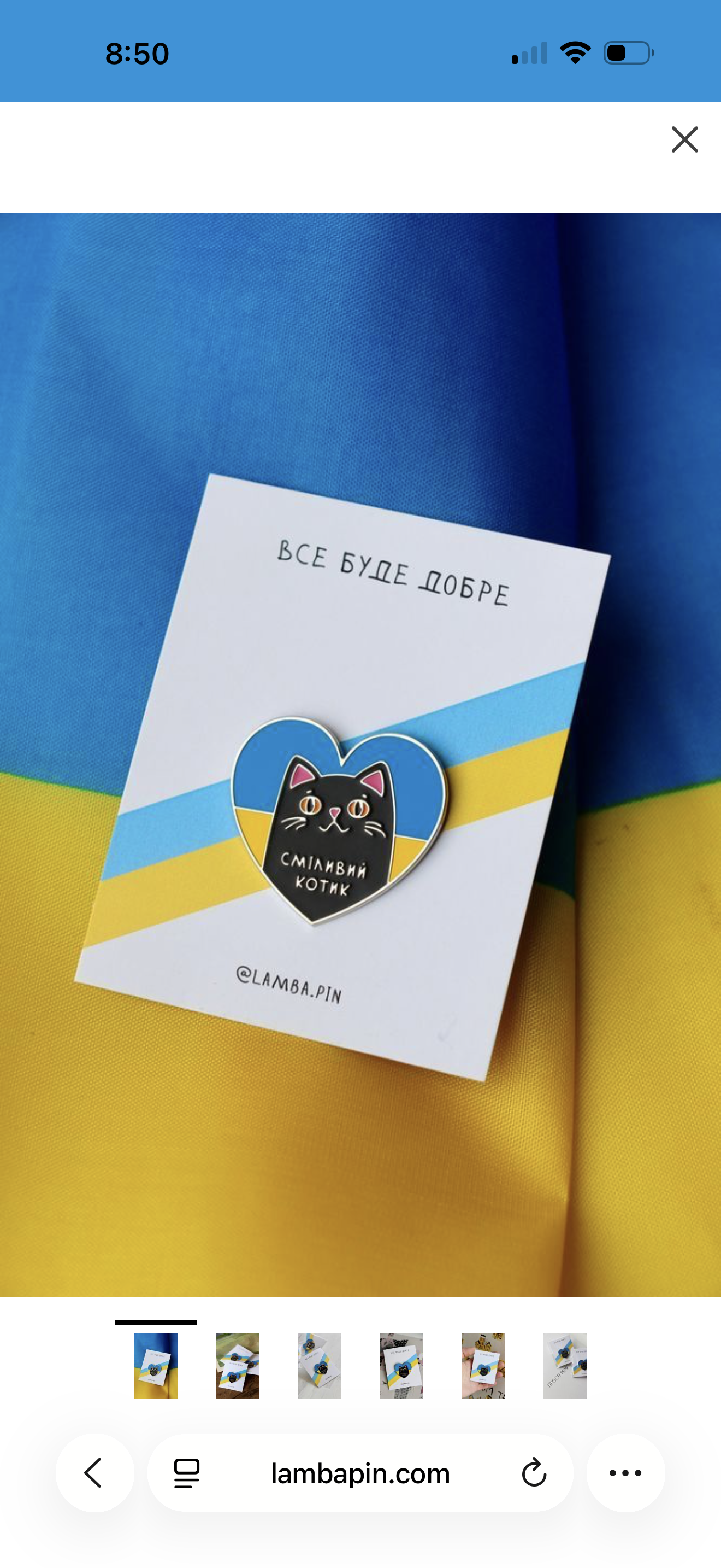 Pin Brave Kotyk